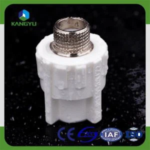 Whire Ppr Male Female Socket Og Ppr Fittings